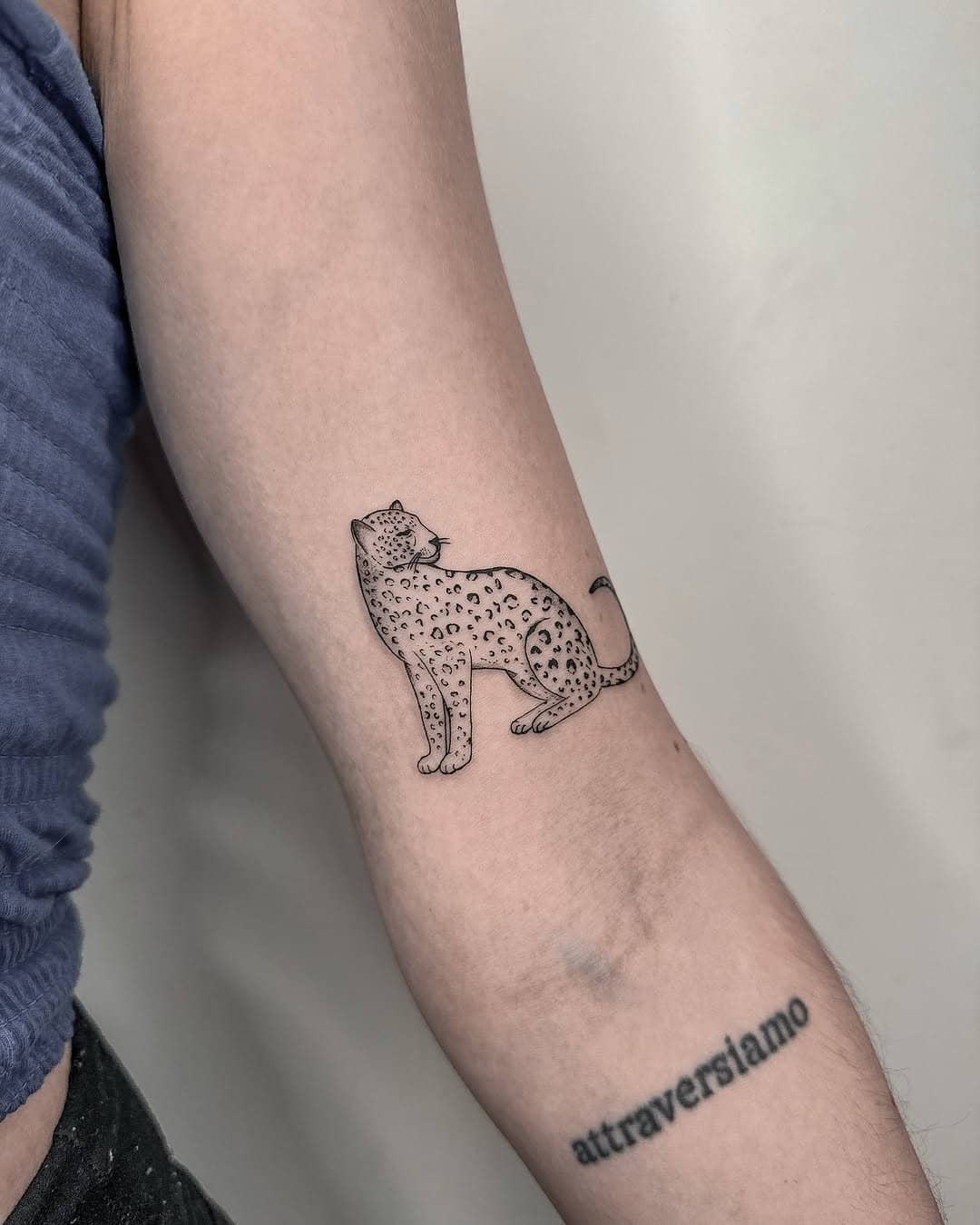 Blackwork — Spider